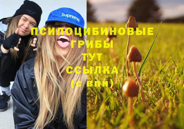 герыч Россошь