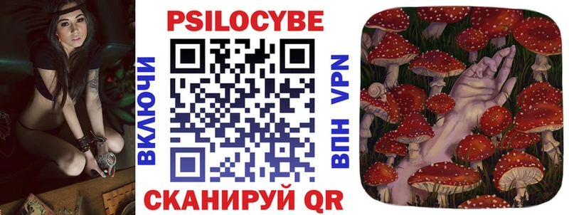 mega ТОР  Сергач  Галлюциногенные грибы Psilocybe  цена наркотик 